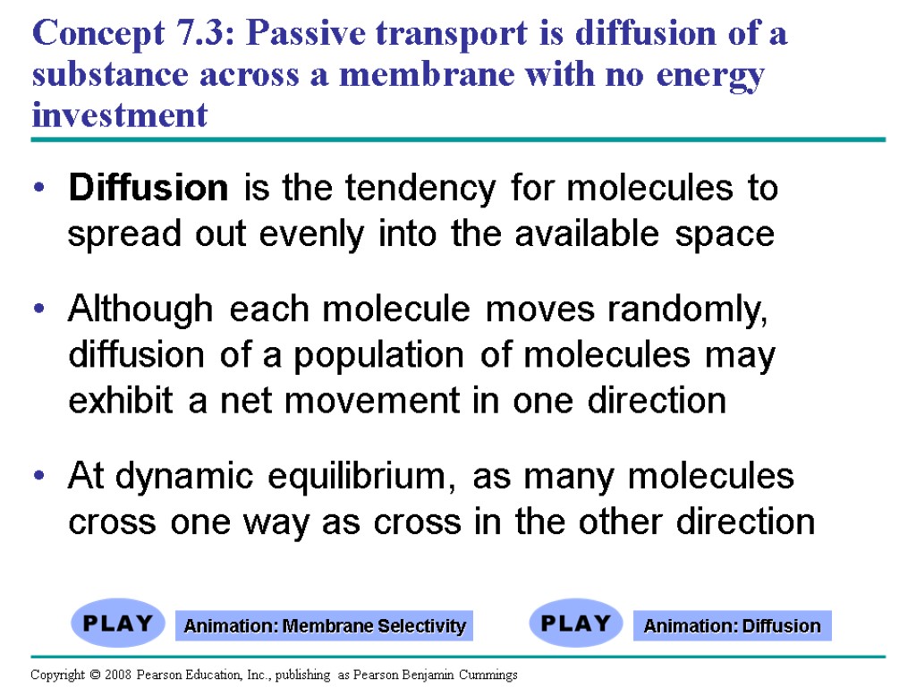 Concept 7.3: Passive transport is diffusion of a substance across a membrane with no